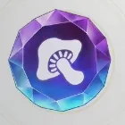 彩色石（きのこ）