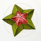 アステリシーマ