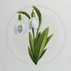 スウィートフラワー