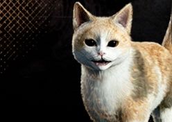 おにぎり.jpg