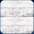 船体：パールホワイト