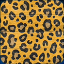 船体：ヒョウ柄