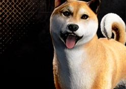ウラシマ.jpg