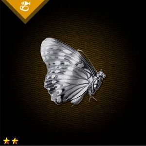 銀の蝶