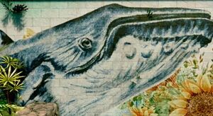 クジラ壁画