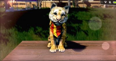 ゴローのこころ