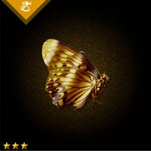 金の蝶