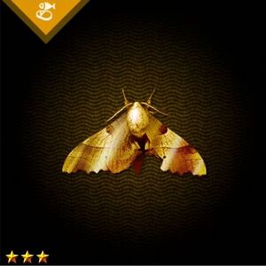 金の蛾