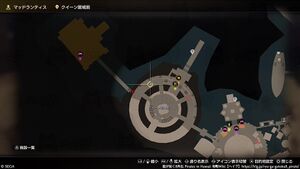 ストーンカーペット