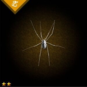 銀の蜘蛛