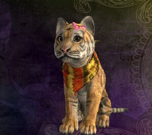 ペット用リボン