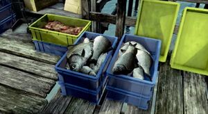 とれたての魚