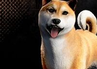 ウラシマ.jpg