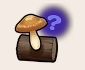 謎のキノコ