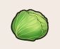 キャベツ