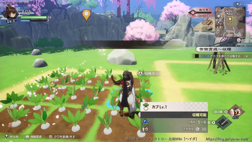 作物育成～収穫の画像