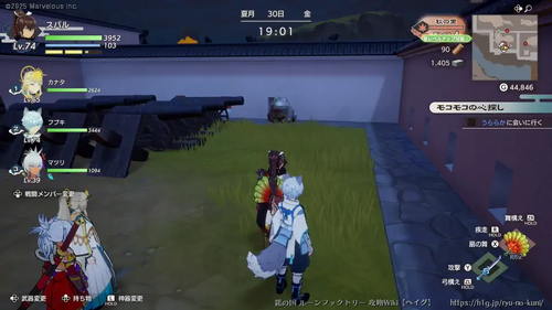 変化の葉っぱ探しの画像