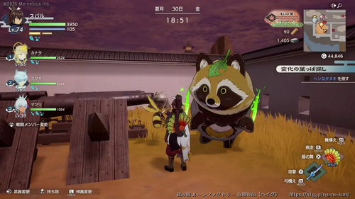 変化の葉っぱ探しの画像