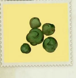 グラスビーンズ／amarec （20191001-132524）.webp