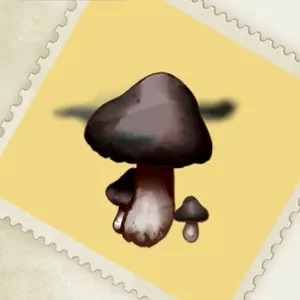 こんがりきのこ