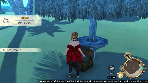 モリッツアイランドの宝箱