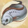 万年魚／万年魚.webp