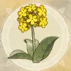 陽気な蜜花／陽気な蜜花.webp