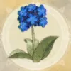 北風の花／北風の花.webp