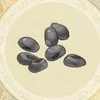 石の種