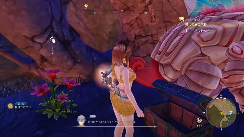 旧跡へと続く門：極地サボテン