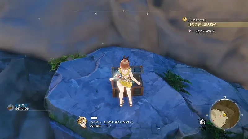 崖下の離れ小島：炸裂カズラ