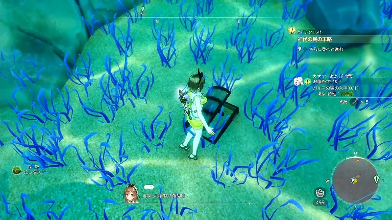 星見の高台：丘レタス