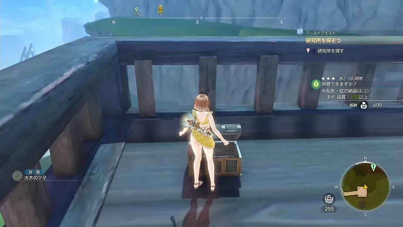 溶岩坑道入口：大木のツタ