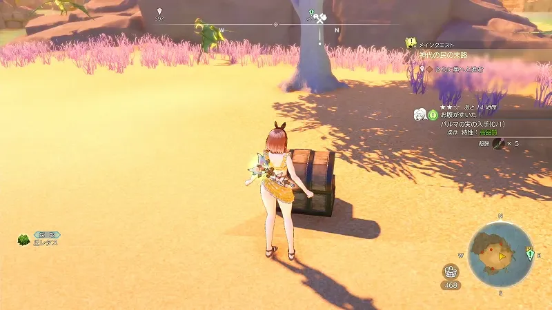 星見の高台：丘レタス