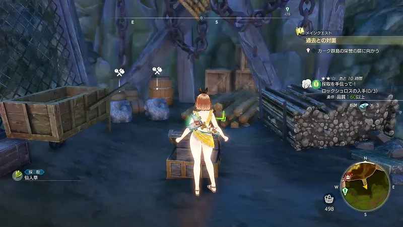 旧採掘場跡：仙人草