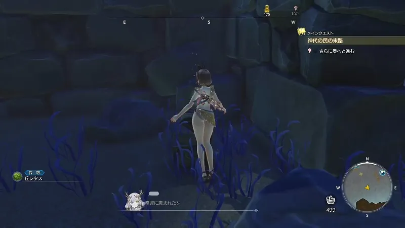 三剣の地：丘レタス