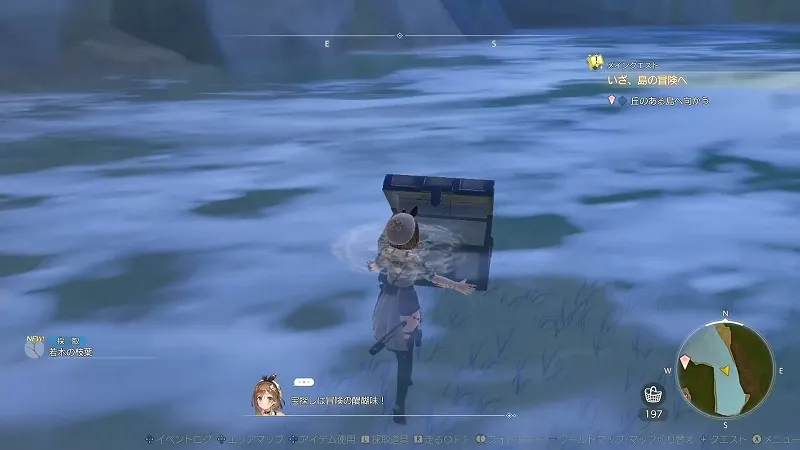 大灯台：若木の枝葉