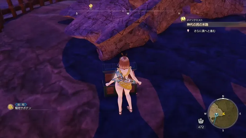 旧跡へと続く門：極地サボテン