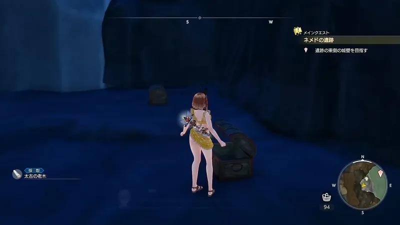 正門前廃墟群：太古の老木