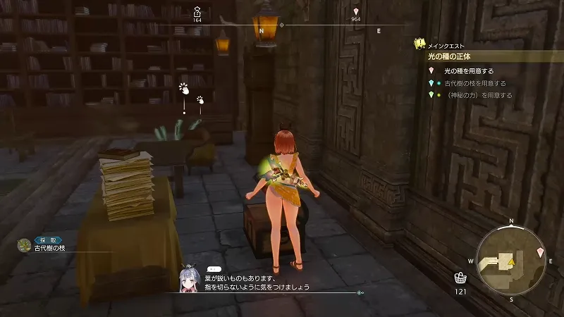 縦貫大空洞:古代樹の枝