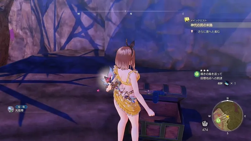 旧跡へと続く門：光吸草