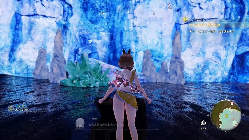 森の隠れ処：大木のツタ