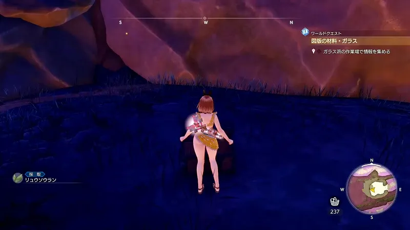 旧跡へと続く門：リュウソウラン