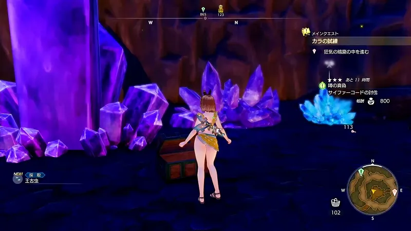 狂気の暗窟：王古虫