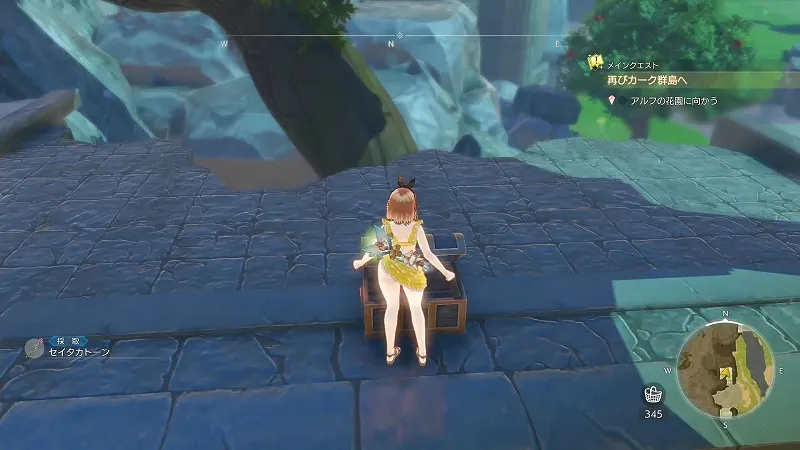 石巨人塚：セイタカトーン