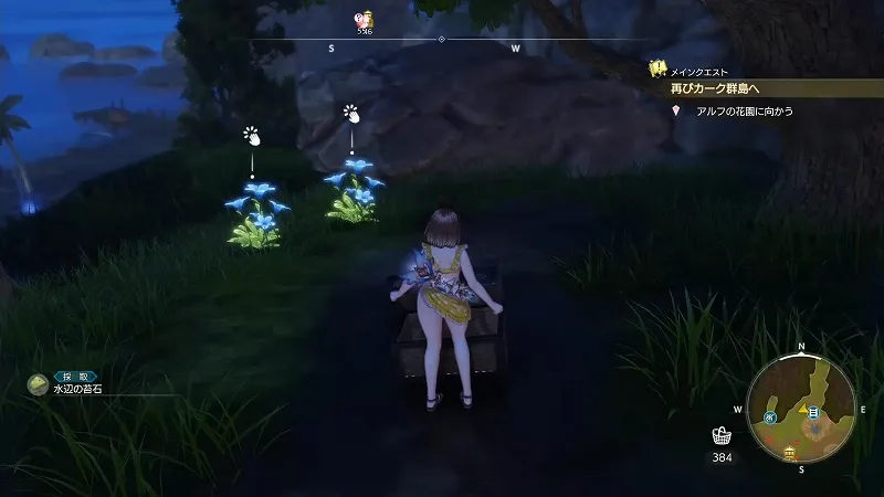 対岸の砂浜：水辺の苔石