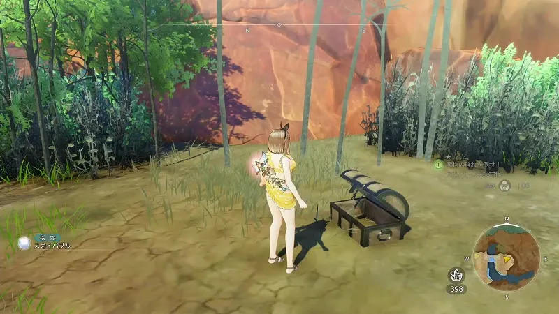 岩山の神木：スカイバブル