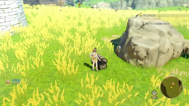 ライザの家：ハチの巣