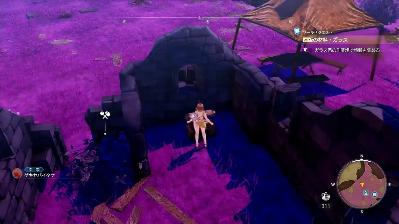 ウルディスの大樹：ゲキヤバイタケ