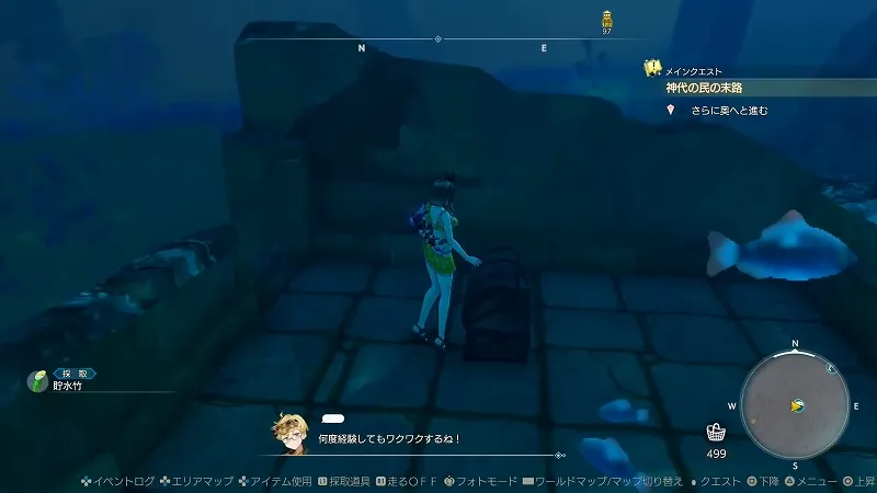 光浴の大樹：貯水竹